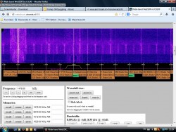 Edelkampioen Jr, vanaf de Veluwe.